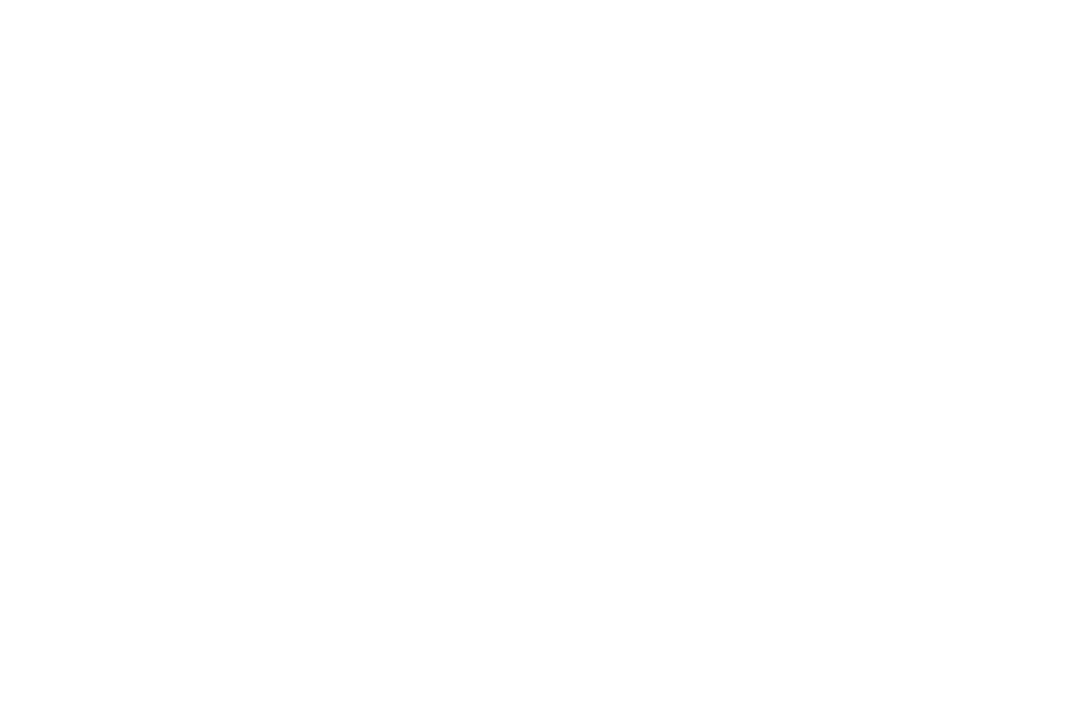 Thiemann Mental Health Services Logo